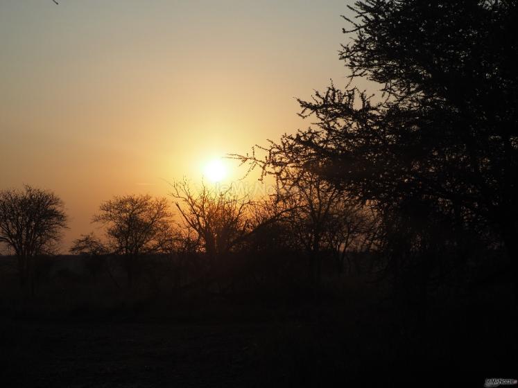 Costanza Demaldè CartOrange - Tramonti Africani