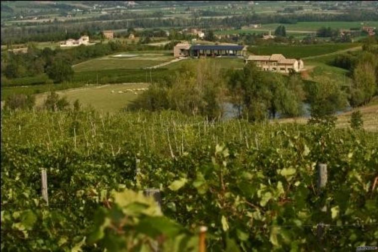 L'Antico Casale delle Vigne immerso del verde