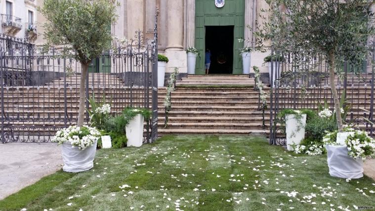 Scenografia con piante verdi e fiorite presso Chiesa Collegiata Catania.