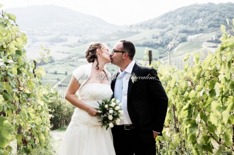 Tra le vigne - Andrea Baccalino Fotografo