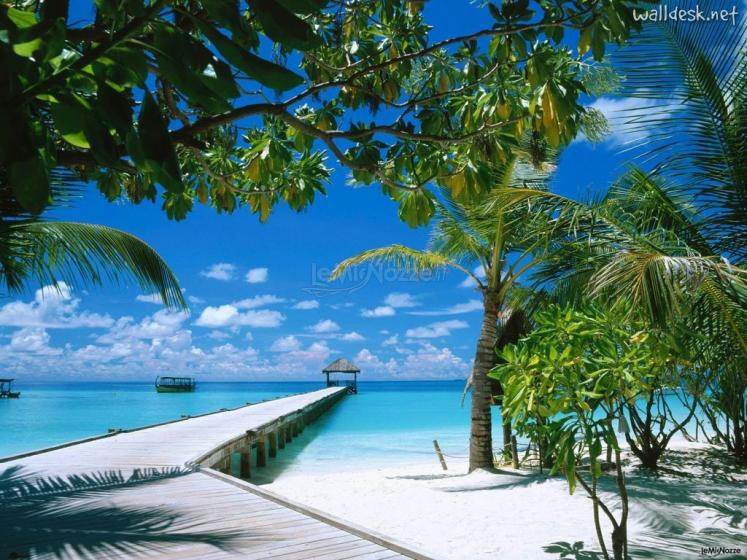 maldive