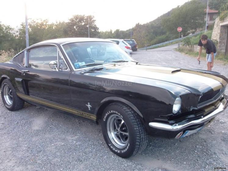 Dany auto Albani - Mustang fastback v8 1965