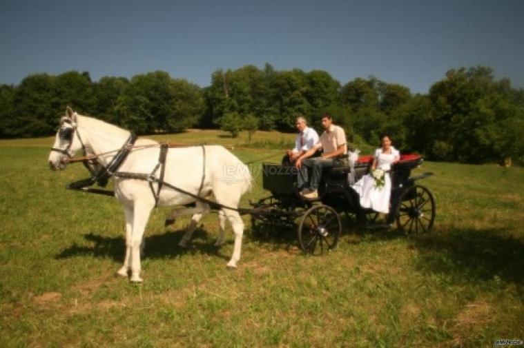 Fotografo per il matrimonio a Cuneo