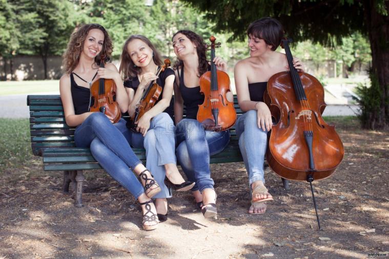 Musa - Quartetto d'archi femminile