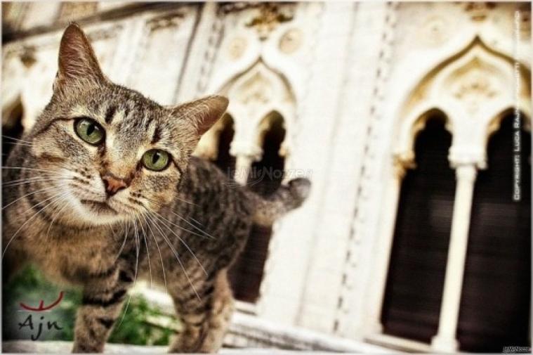 Foto in stile reportage per il matrimonio