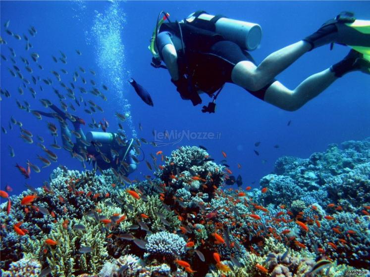 Sessione di diving durante il viaggio di nozze