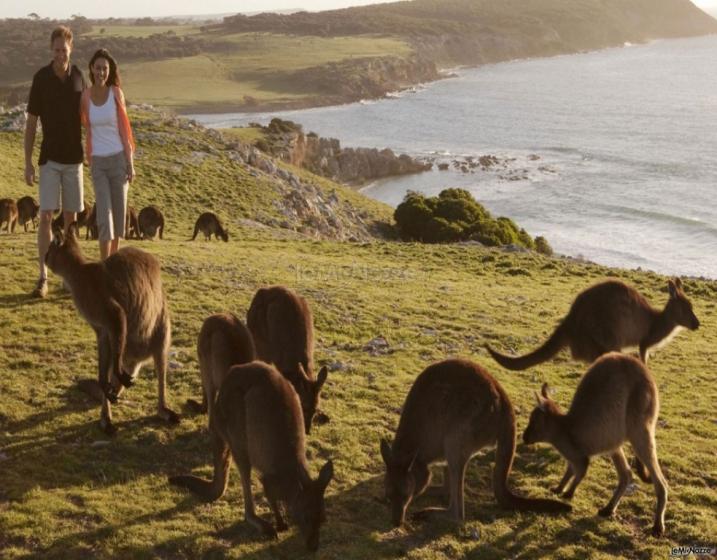 Roberto Di Francesco Consulente CartOrange - Kangarro Island - Australia