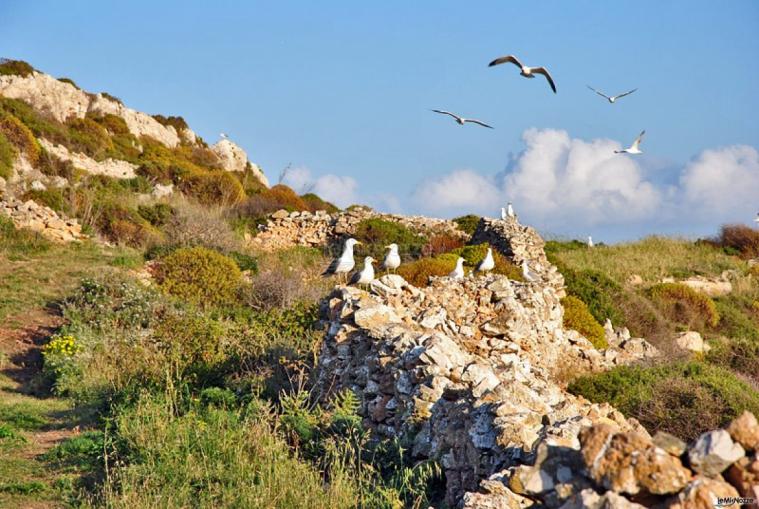 l'isola di Favignana