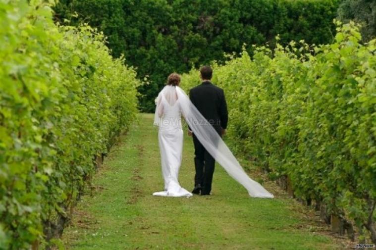 Ricevimento di matrimonio nei vigneti