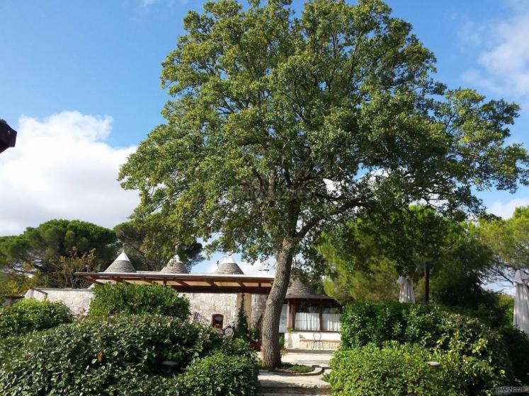 Masseria del Gelso Antico - Immerso nel verde