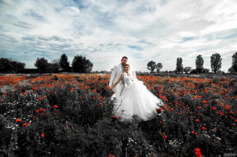 Tra i papaveri - Andrea Baccalino Fotografo