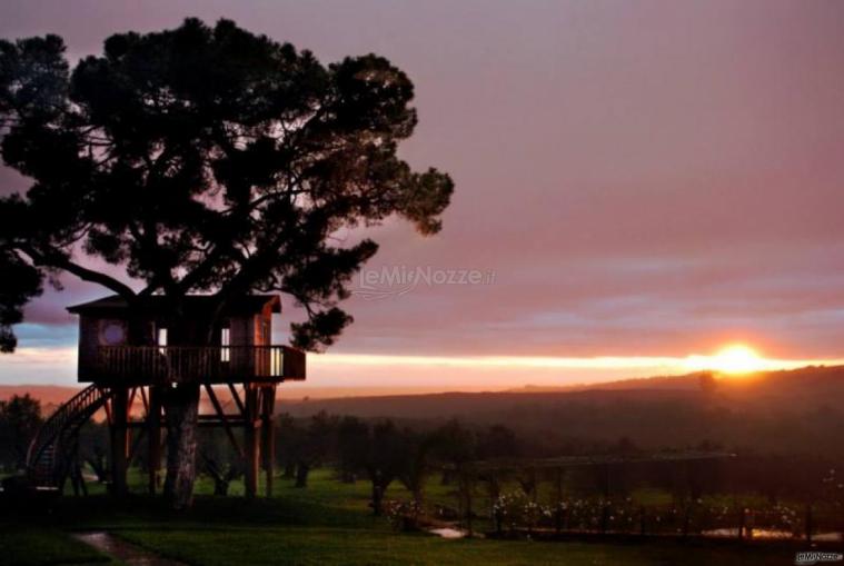 Tramonto romantico sull'agriturismo La Piantata