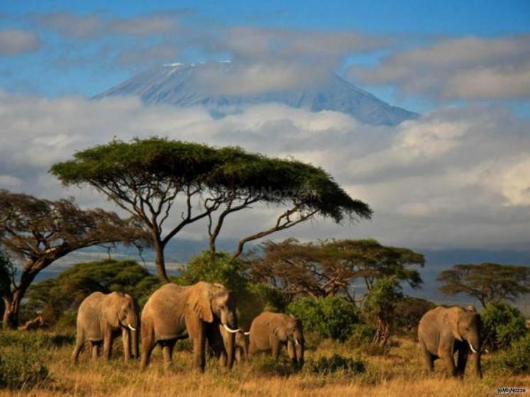 Kenya esplosione di natura