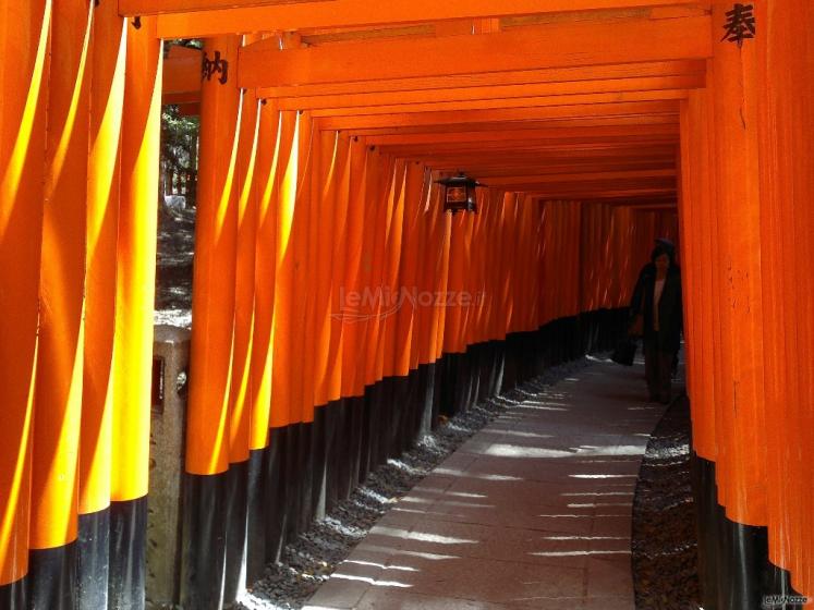 Anastasia Padoan CartOrange - Viaggio di nozze in Giappone a Kyoto