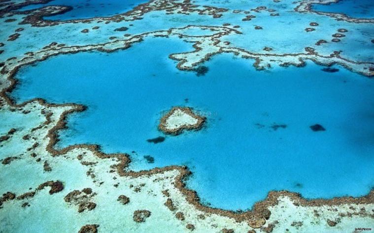 Serena Donato - Consulente Viaggi by Vivi Vacanze - Viaggio di nozze a Hardy Reef, Australia