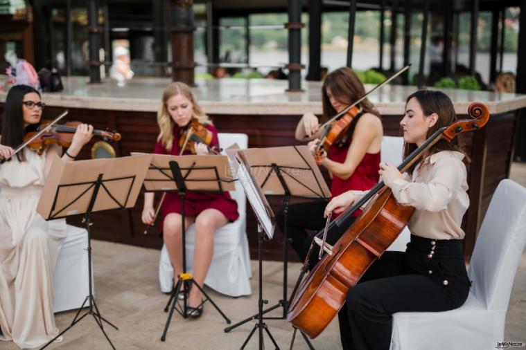 Duo di Venaria - Pianista e violinista Torino