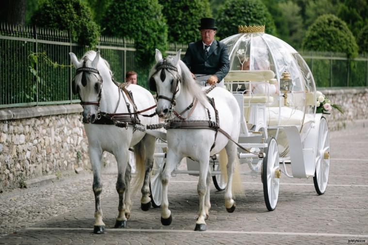 Carrozza - Eventi e Momenti