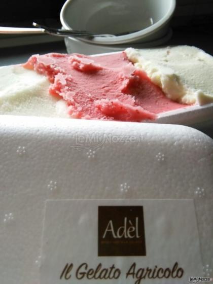 Gelateria Adèl - Il Gelato