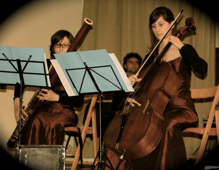 Fagotto e violoncello