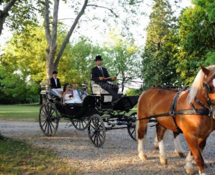 Foto Video CineMania - La carrozza