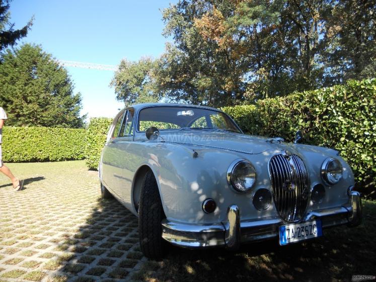 Jaguar mkii