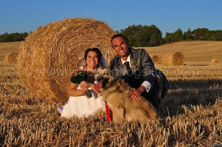 Servizio fotografico di matrimoniocon il proprio amico a 4 zampe