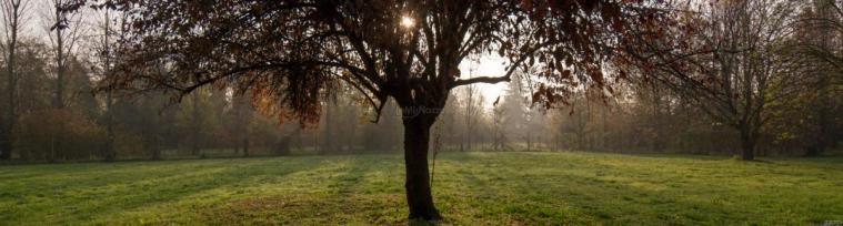 Il suggestivo scenario naturale di Villa Horti della Fasanara al tramonto