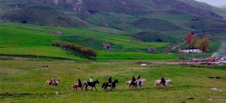 Ampio parco per passeggiata a cavallo presso l'agriturismo per ricevimento di matrimonio L'Airone