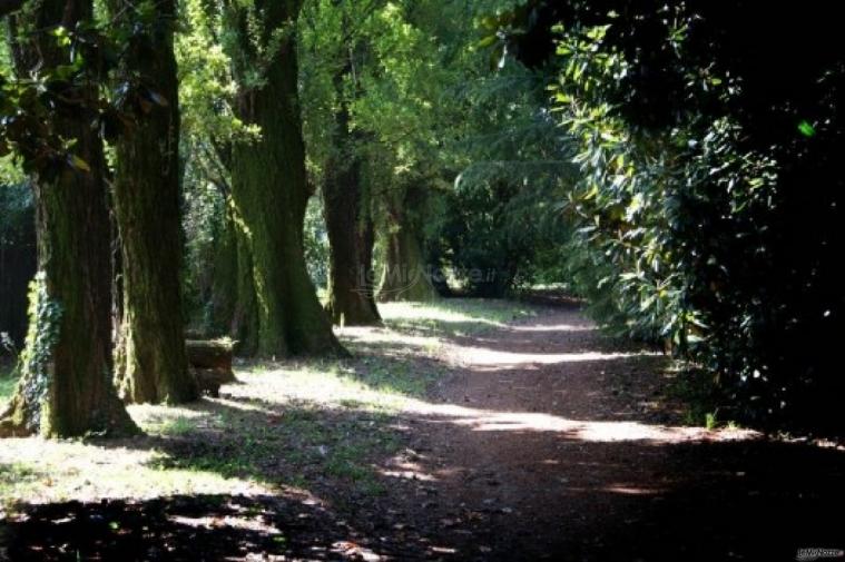 Parco secolare della villa per il matrimonio