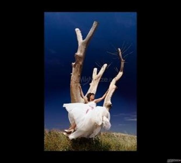 Foto Giattino - Particolare immagine di una sposa su un albero