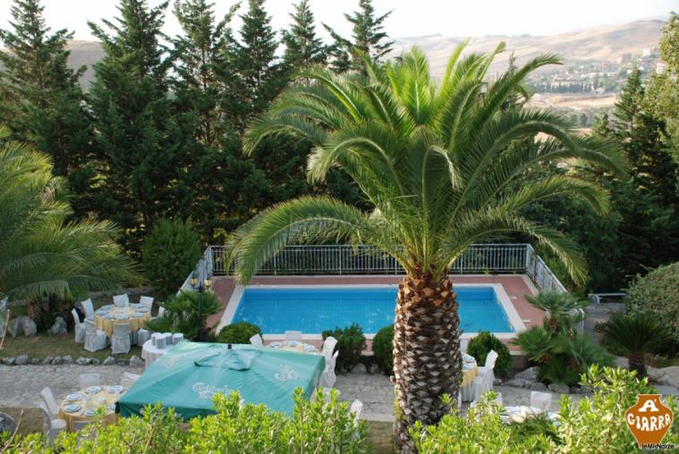 Piscina e palma per un ambiente sereno