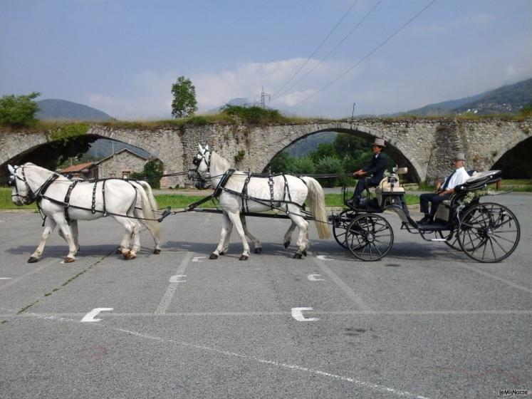 Azienda Marocco - Carrozza con cavalli ungheresi