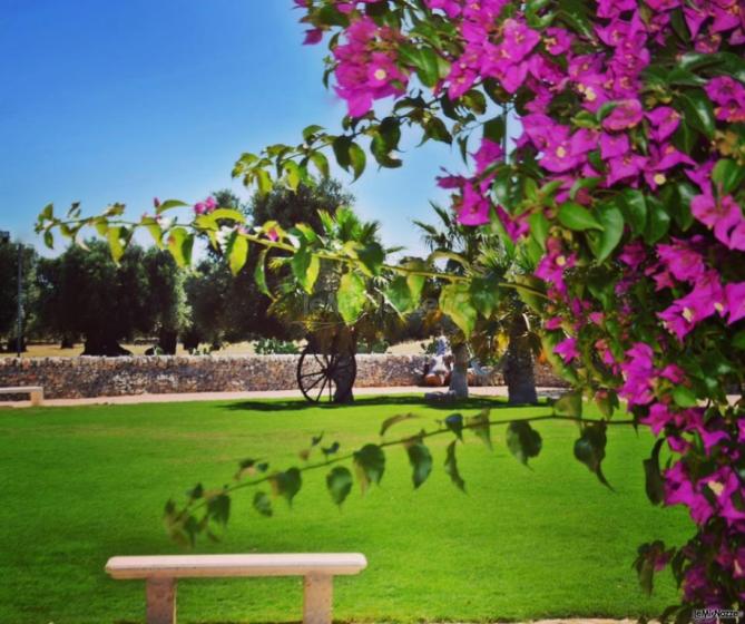 Masseria Eccellenza - Una vista del giardino