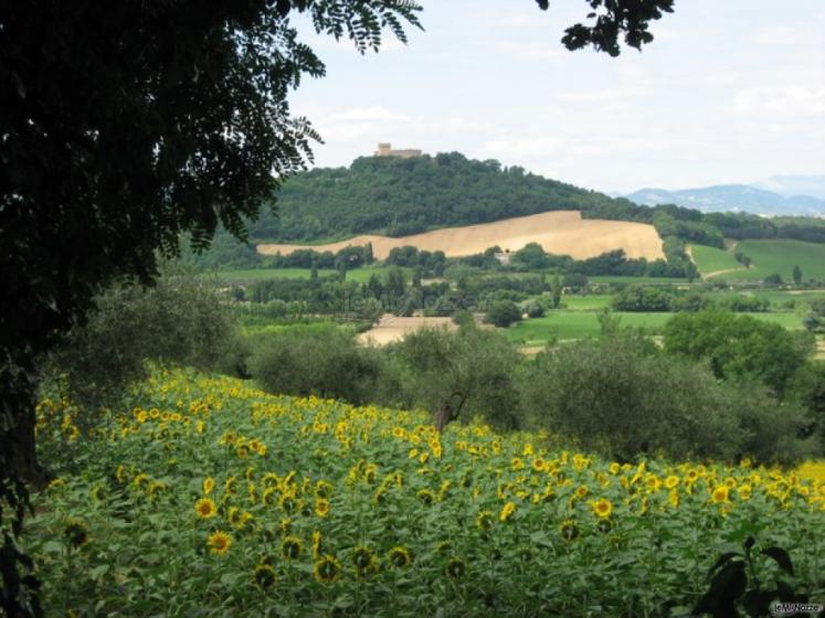 Agriturismo Baia Vallugola - in Lontananza