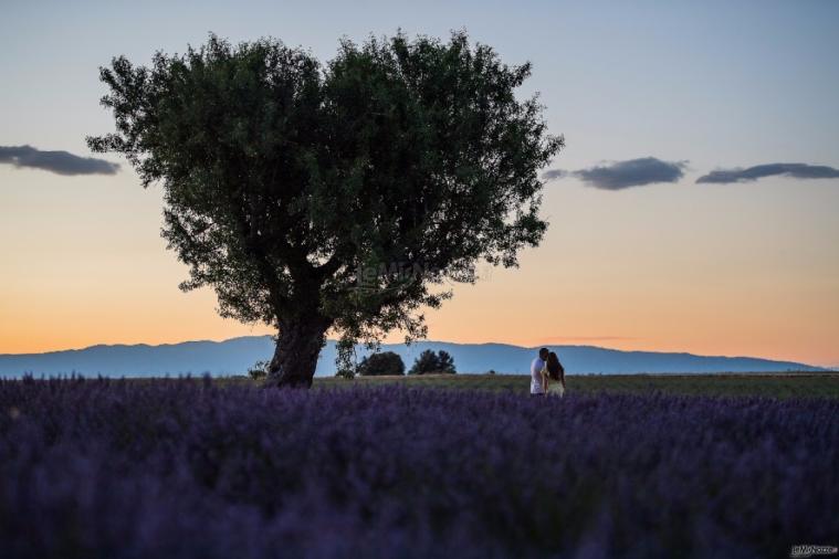 Dario Imparato Foto - Foto per il matrimonio a Pavia