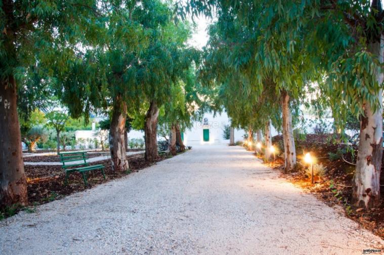 Masseria San Michele - Il viale di ingresso della masseria