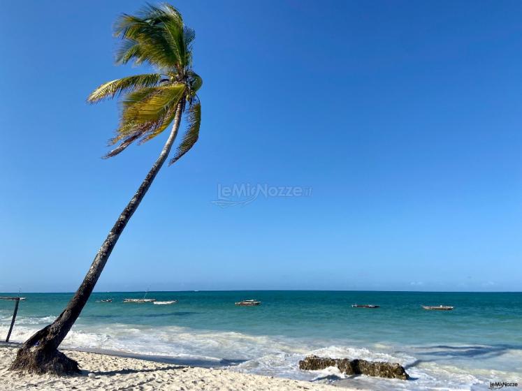 Costanza Demaldè CartOrange - Zanzibar