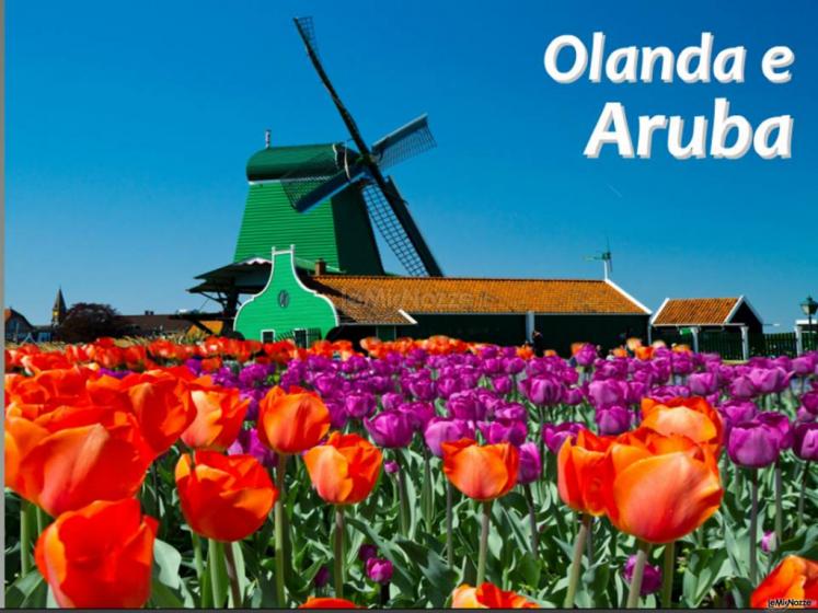 olanda e aruba