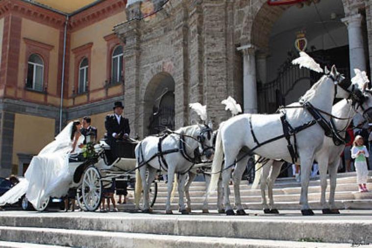 Nozze da favola - La carrozza con quattro cavalli