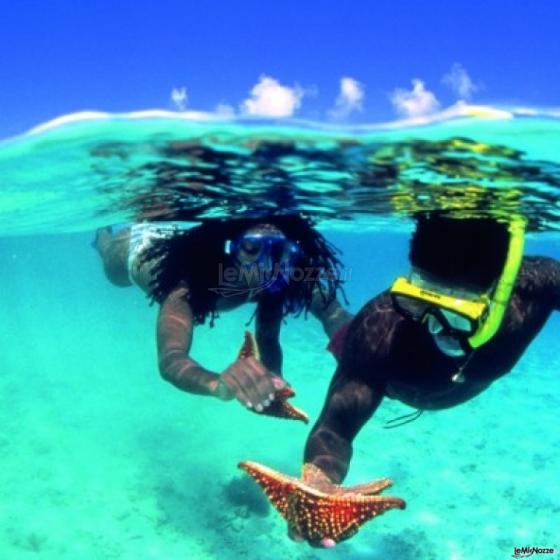 Snorkeling durante il viaggio di nozze