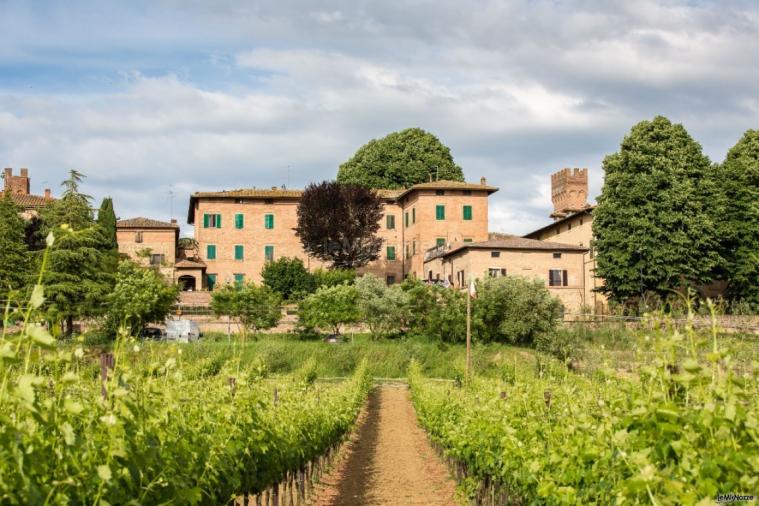 Hotel Borgo Antico - Vista dal vigneto