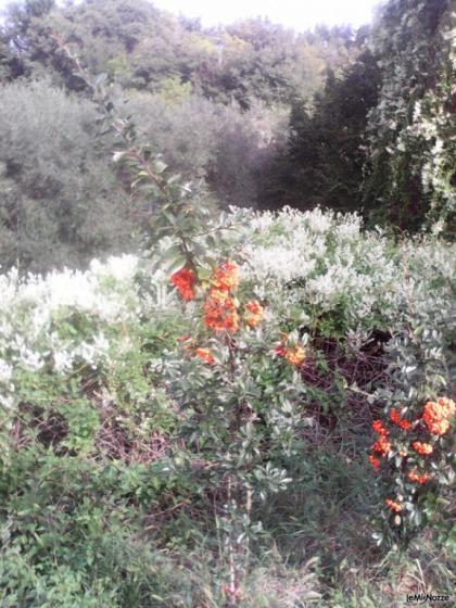 Location San Lorenzo - La natura incontaminata a Castelnuovo del Garda