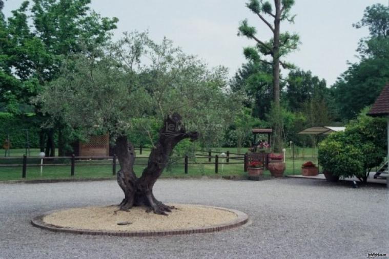 Particolare del giardino della location di nozze