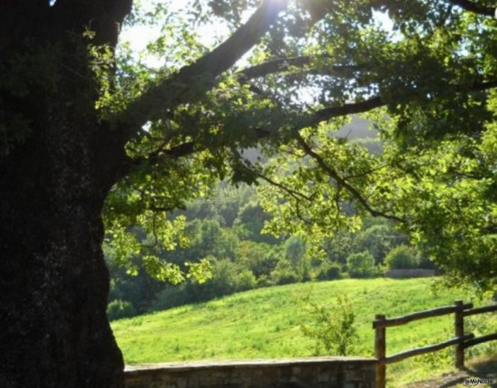 L'ampio giardino che circonda il palazzo