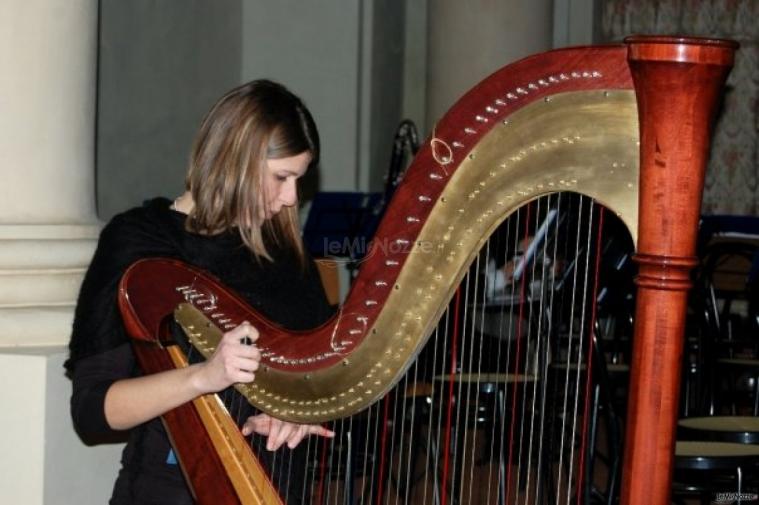 Elena Biasi Arpista - Musica per matrimoni