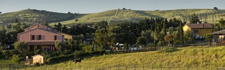 Agriturismo Il Melograno di Banditella - Azienda agricola