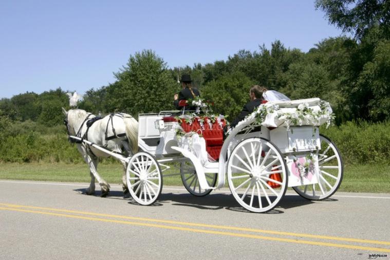 Carrozza addobbata per gli sposi