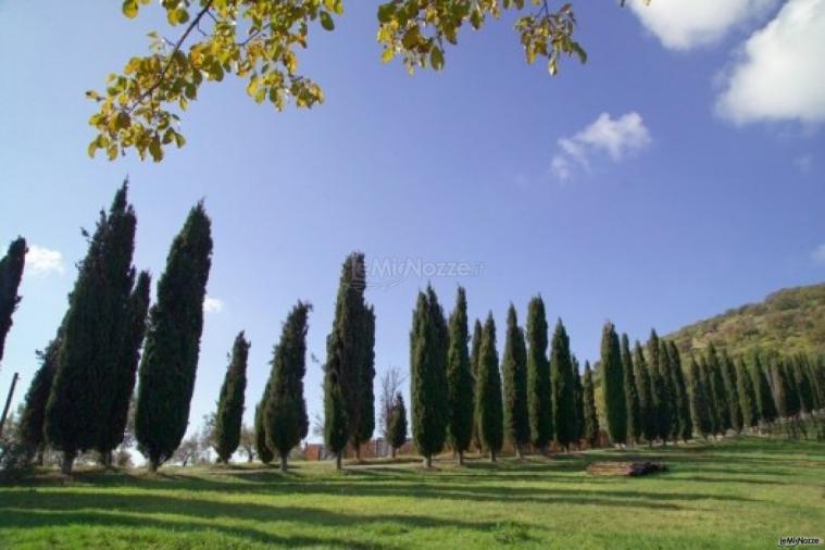 Giardino della location di nozze