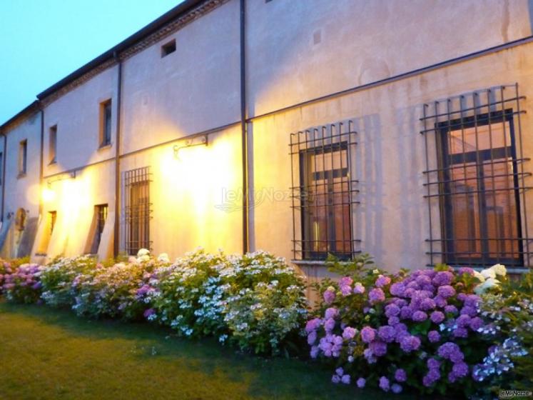 Fiori colorati come sfondo al matrimonio