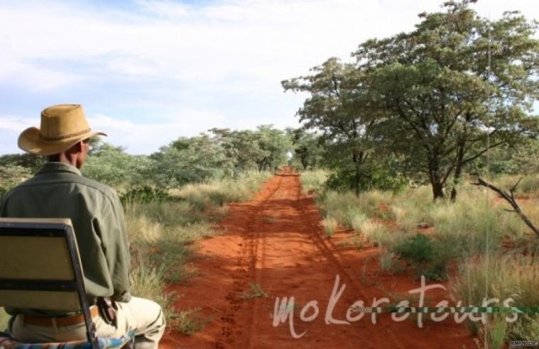 Mokoro Tours - Agenzia per viaggi di nozze in Africa